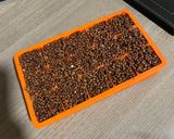 Foto del paso 2 de la receta: Quinoa pop saludable