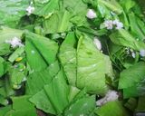 Hình bước làm 2 của món Canh cải rổ nấu nấm thịt xay