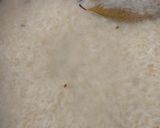 A picture of step 1 of Methi Pulao.
