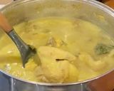 Foto langkah ke 6 dari resep Opor ayam.