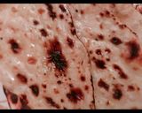 नाॅन रोटी (naan roti recipe in hindi) रेसिपी चरण 3 फोटो
