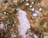 Foto del paso 3 de la receta: Langostinos rebozados