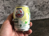 Iced Bear Brand Gold White Tea | Our Channel