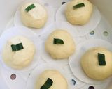 Foto langkah ke 3 dari resep Bakpao anti gagal.