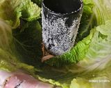 Baconba tekert rakottkel kuglóf recept fázis 4 fotója