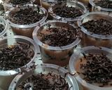 Foto langkah ke 3 dari resep Setup roti tawar coklat.