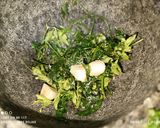 Foto del paso 1 de la receta: Lomo rebozado en salsa de cebolla