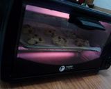 Foto langkah ke 7 dari resep Homemade Chocochips Cookies.