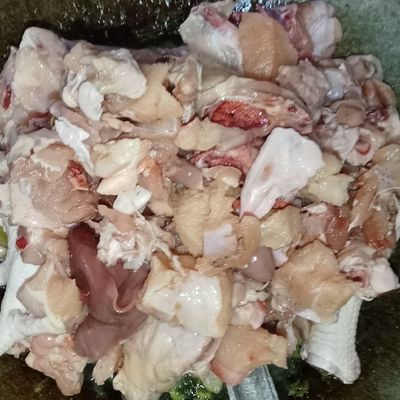 Langkah 8