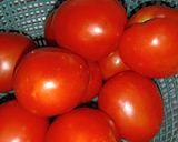 Foto langkah ke 1 dari resep Otak Atik Telur super Simple Hemat.