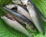 Hình bước làm 1 của món Cá nục kho cà chua