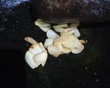 Foto langkah ke 3 dari resep Soto Ayam Santan Enak.