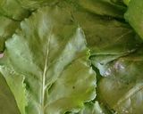 A picture of step 1 of Palak patara (Paalak Roll).