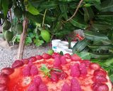 Foto del paso 9 de la receta: New York cheesecake