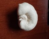 Foto del paso 11 de la receta: Pan de molde con tang zhong