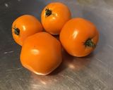 Une image de l'étape 1 de Tomates taiyo farcies à la brousse artisanale,crevettes sauvages et poivre frais.