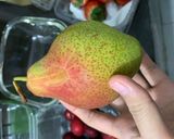 Hình bước làm 2 của món Thạch (Rau Câu) Trái Cây Hỗn Hợp
