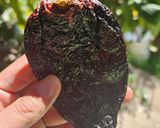 A picture of step 5 of Oaxacan Tamales.