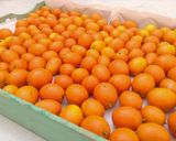 Foto del paso 1 de la receta: Rodajas de quinotos en almíbar