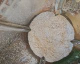 Banánkenyér recept fázis 1 fotója