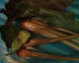 Foto langkah ke 2 dari resep Sontong tiram kuning pedas.