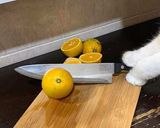 Foto del paso 1 de la receta: Pan de naranja
