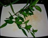 A picture of step 3 of Vietnamese style ribletes.