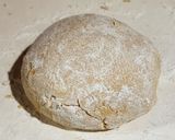 Foto del paso 4 de la receta: Tortillas de harina de maíz y harina de trigo - Ideal tacos - mi receta!