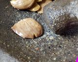 Foto langkah ke 5 dari resep Semur Jengkol.