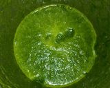 A picture of step 1 of Spinach sushi.