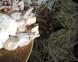 Foto langkah ke 2 dari resep Oseng 3T (TAHU, TOGE,TERI) :-D.