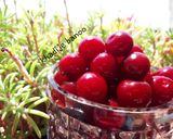 عکس مرحله 1 از دستور ترشی آلبالو