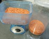Foto del paso 1 de la receta Pan de lentejas rojas