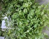 A picture of step 1 of Dhania/Green Coriander leaves Chutney.