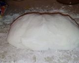 Foto del paso 1 de la receta: Tarta de pollo sin gluten/empanadas