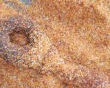 Foto del paso 1 de la receta: Gomitas y dulces enchamoyados
