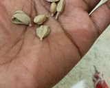 A picture of step 6 of Mahamri ya maziwa.