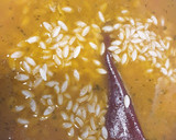 Foto del paso 8 de la receta: Gurullos Thermomix