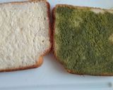 A picture of step 2 of Cheesy Spinach Sabzi Tava Sandwiches.