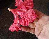 ஆரஞ்சு செம்பருத்தி ஜூஸ் (Orange, Hibiscus, Honey Ginger juice recipe in tamil) ரெசிபி ஸ்டேப் 1 புகைப்படம்