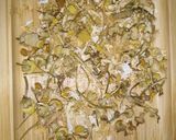 A picture of step 3 of Chamomile tea.