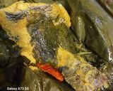 Foto langkah ke 10 dari resep Pepes Ikan Nila (No Presto, Kids Friendly).