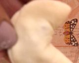 عکس مرحله 9 از دستور شیش برک لبنانی (Shish Barak)