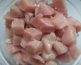 Foto del paso 2 de la receta Pollo al curry con salsa de mango y leche de coco