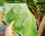 Hình bước làm 5 của món Bánh xèo thơm ngon cuối tuần