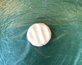 Foto del paso 3 de la receta: Empanada de oreja de león (Empand land saá vez León)