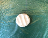 Foto del paso 3 de la receta: Empanada de oreja de león (Empand land saá vez León)