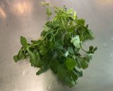 Une image de l'étape 4 de Salade Feuille de Chêne aux Oignons Nouveaux et Persil Plat.