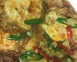 Foto langkah ke 6 dari resep Telur ceplok kecap.