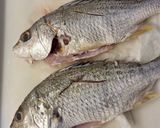 Foto langkah ke 1 dari resep Japanese-style Simmered Fish 魚煮付け.